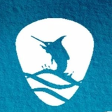 Chub Cay marlin logo