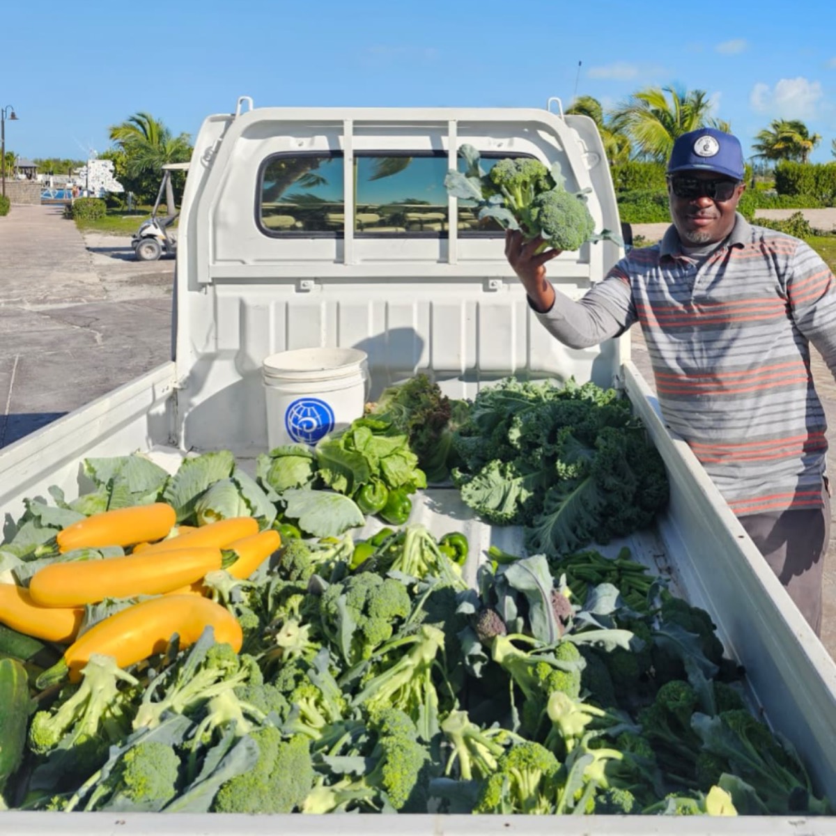 Farmer Lance holding up broccoli beside a truck bed loaded with fresh vegetables