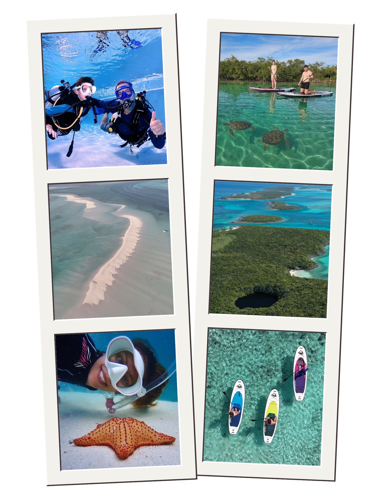 Chub Cay Divers activities: scuba divers in the pool, paddleboarding with sea turtles, the sandbar at low tide, aerial view of islands and a blue hole, and a snorkeler with a starfish